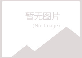 白银平川听兰金属有限公司